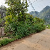 Dịch bệnh cần bán 1500m view toàn cảnh thị trấn Mộc Châu